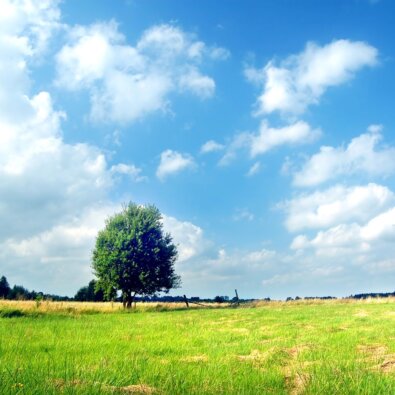 Entendendo a usucapião: como adquirir uma casa ou terreno com o tempo?